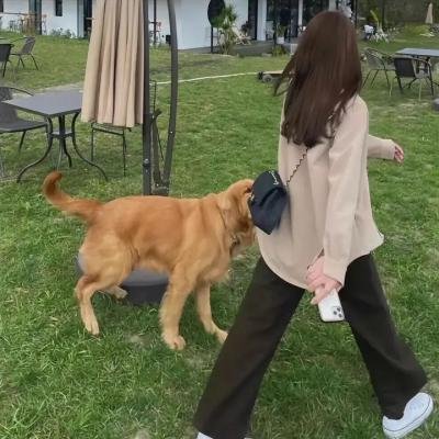 烟花泪